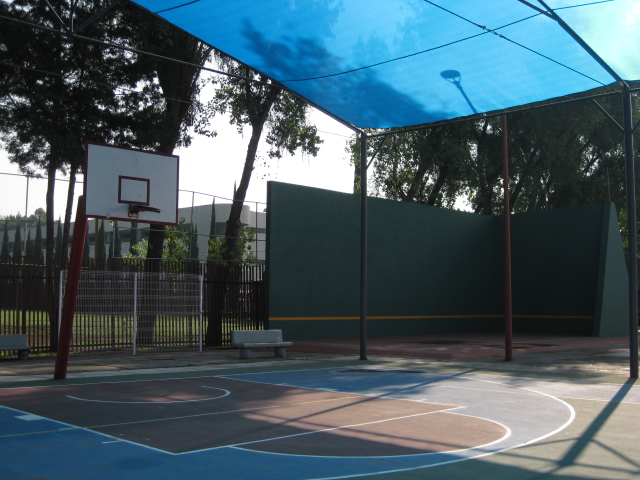 Cancha 5