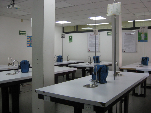 Laboratorio de Biología 1 - Foto 2