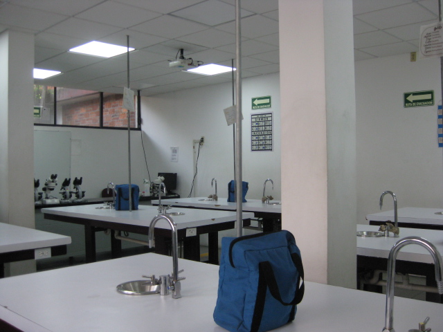 Laboratorio de Biología 1 - Foto 4